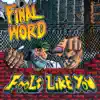 Final Word - Fools Like You - EP